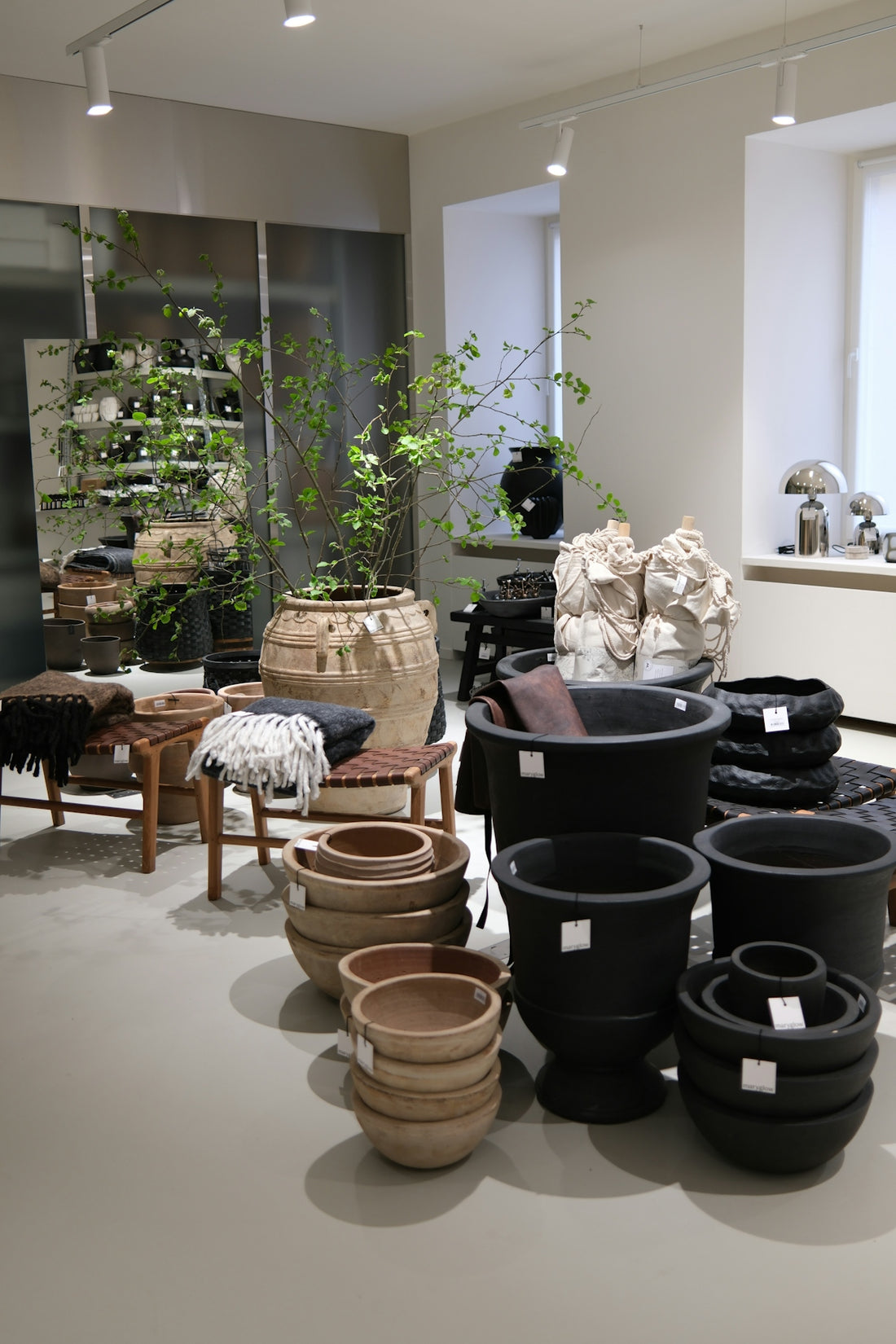 Modern store interior showcasing diverse pots and home decor