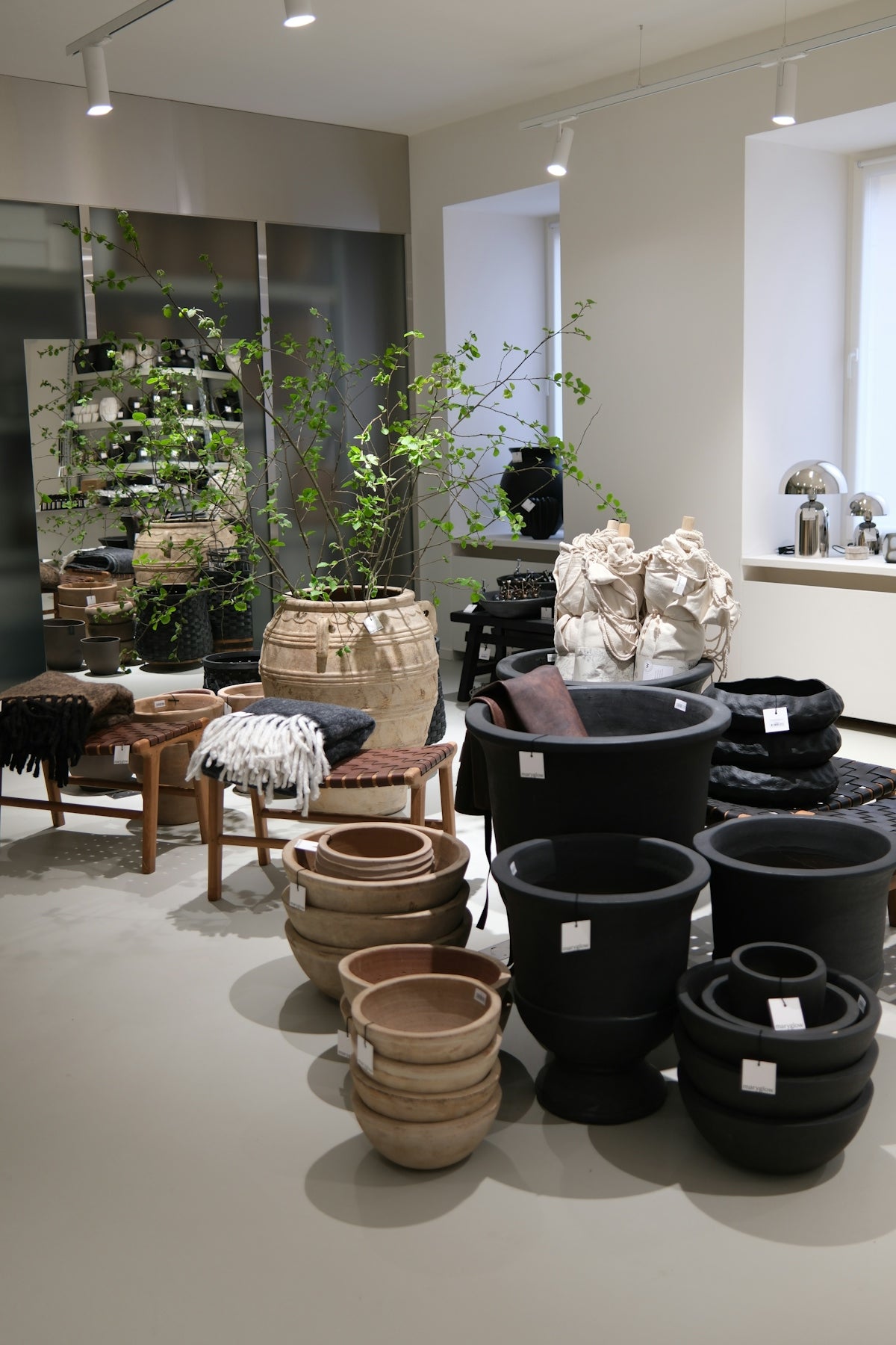 Modern store interior showcasing diverse pots and home decor