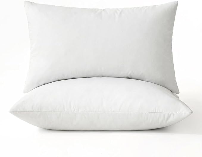 MIULEE Pillows Standard Size Set of 2 Down Feather Throw Pillows by MIULEE