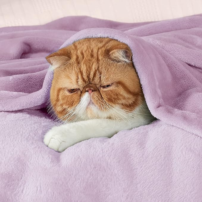 Bedsure GentleSoft Fleece Throw Blanket - Image 2