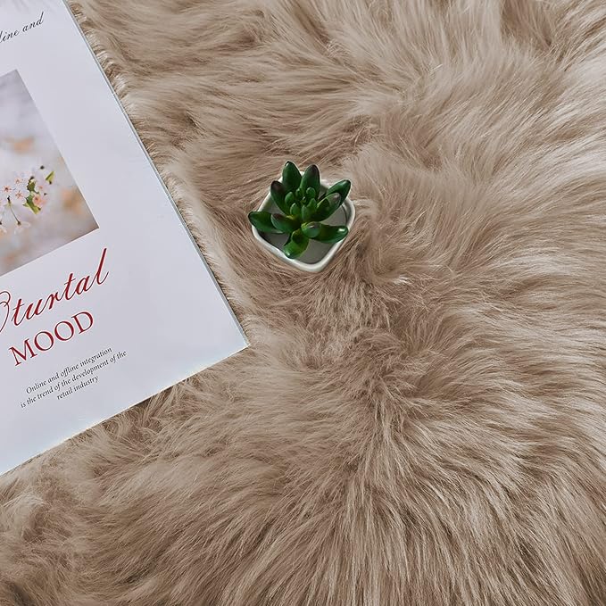 Latepis Light Brown Beige Round Area Rugs 5ft Faux Fur Fuzzy Rugs - Image 7