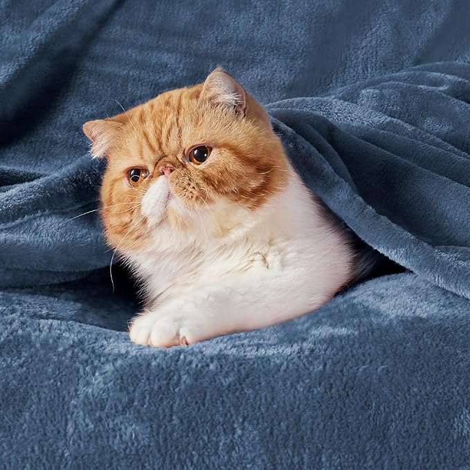Bedsure GentleSoft Fleece Throw XL Blanket Mineral Blue - Image 2