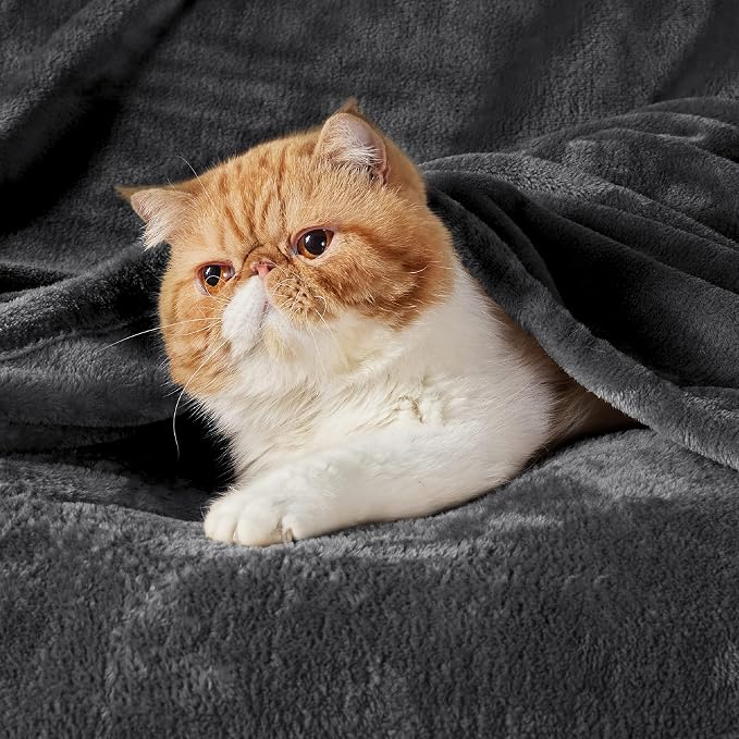 Bedsure GentleSoft Fleece Throw Blanket Dark Grey - Image 2
